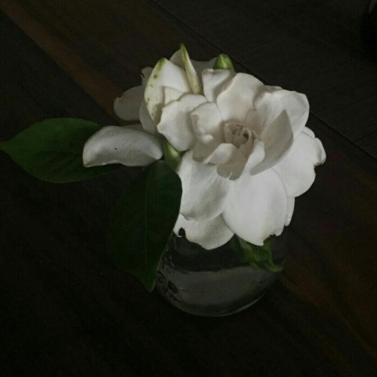 高久千草（饰 未知角色） - 少儿动画片免费在线观看 - 电脑观影